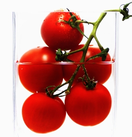 Tomaten im Glas Abstrakt/10639538