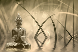 Buddha Sepia/10671358