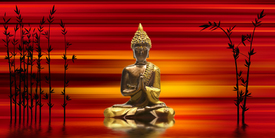 Buddha/10709875