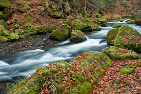 Herbstmärchen am Bach/10735619