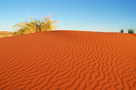 Sanddüne am Morgen/10736331