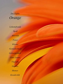 Orange/10745711