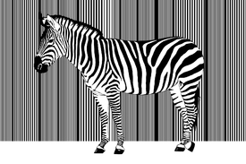 Zebra Barcode einzelnd/10775275