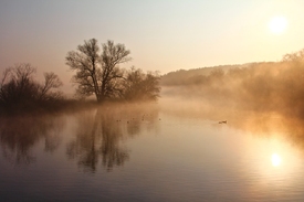 Wasservögel am Morgen/10776823