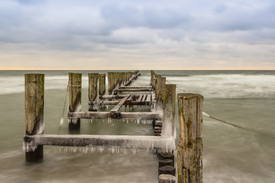 Buhnen von Zingst/10811785