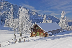 Wasensteiner Alm/10822851