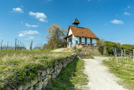 Michaelskapelle in Bad Dürkheim II/10904796