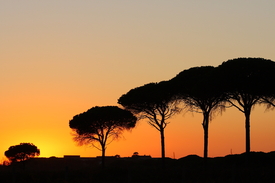 Sonnenuntergang über Andalusien/10938689