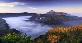 Sunrise at Mount Bromo Java, Indonesia/10962413