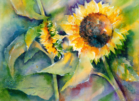 strahlende Sonnenblume/11016226