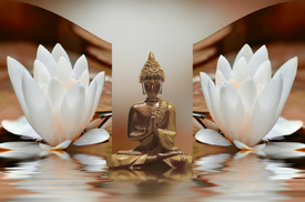 Buddha/11186456