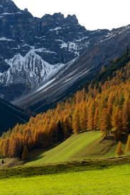 Herbst im Gebirge/11196412