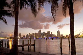 Skyline von Miami, Florida/11214832