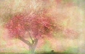 pink tree/11231010