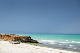 Oman Beach/11231966
