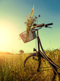 Retro Fahrrad in Landschaft/11321130