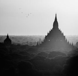 Burma - Bagan Schwarz Weiß/11371657