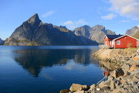 Wohnen am Fjord/11387701