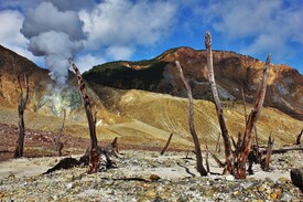 Kraterlandschaft/11408809