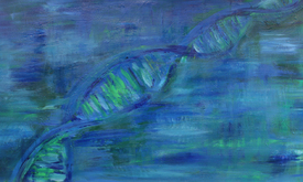 DNA Helix/11429282