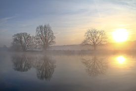 Nebel an der Ruhr/11434951