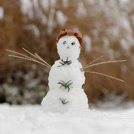 Schneemann im Park/11447212