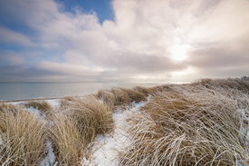 Dünen im Winter /11447493