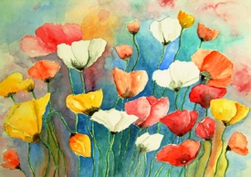 Bunter Mohn Aquarell Malerei/11487477