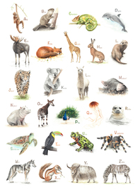 ABC Poster Tiere/11494376
