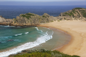 Südafrika - Garden Route - Robberg Naturschutzgebiet/11495152