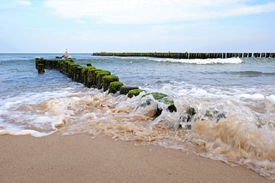 Strandschutz der Küste/11588830