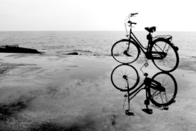 bicycle/11625699