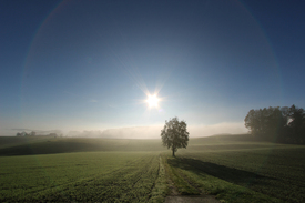 Guten Morgen/11629257