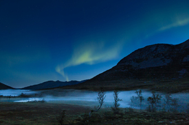 Aurora mit Nebel/11658040