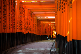 Fushimi Inari Schrein Kyoto Japan/11700024