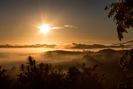 Nebel in der Morgensonne/11720478