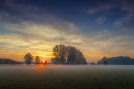 Nebel über den Feldern/11770522