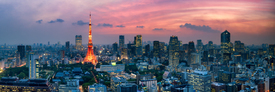 Tokyo skyline Panorama/11810480