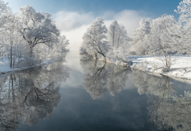 Winterzauber in Oberbayern/11875199