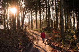 Herbstwanderung/11932165