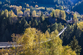 Hängebrücke Goms-Bridge in der Schweiz/11966805