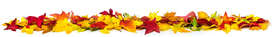 Farbenfohe Herbstblätter auf weiß/12251458