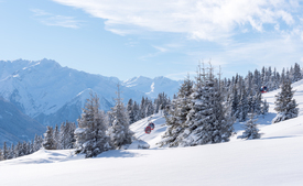  Kitzbüheler Alpen/12385850