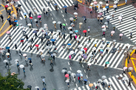 Shibuya Crossing im Regen/12399252