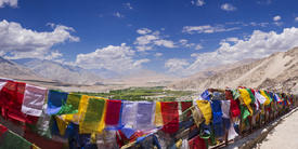 Industal in Ladakh/12542588