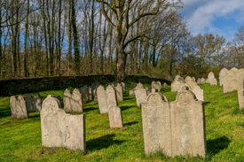 ein Friedhof aus dem Mittelalter/12727421
