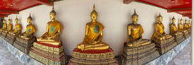 Buddhas/12732539