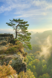 Herbstmorgen in der Sächsischen Schweiz/12765205