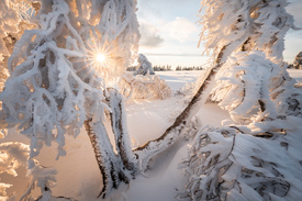 Winterlandschaft auf der Hornisgrinde/12793457