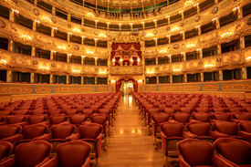 Teatro La Fenice/12802490